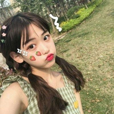 大象心